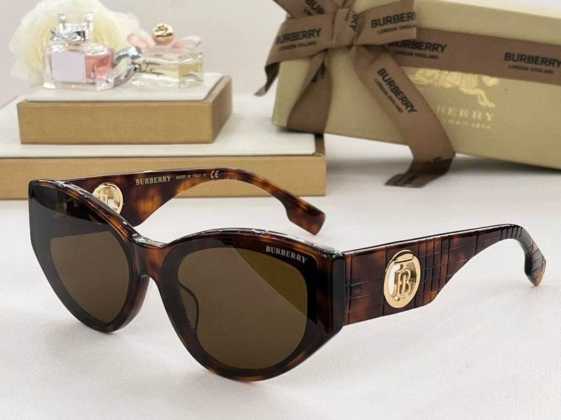 Burberry Sunglasses 312